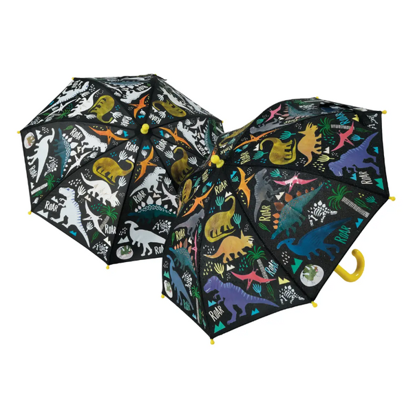 Magic Color Changing Umbrellas
